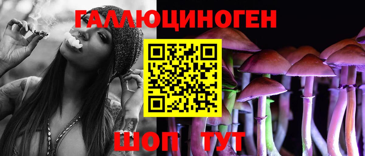 МЕФ Новокубанск