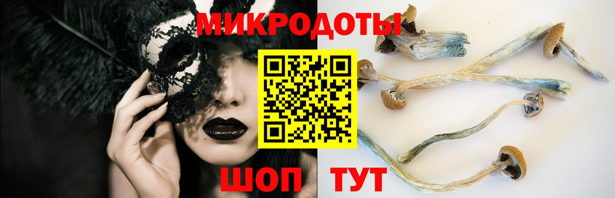 Новокубанск  Галлюциногенные грибы мухоморы  продажа наркотиков  Вход с VPN 